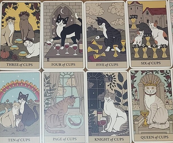 cat tarot deck