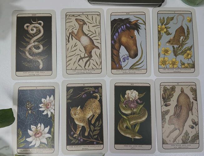 woodland oracle deck